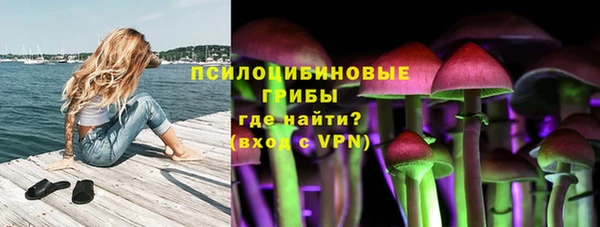 первитин Богородск