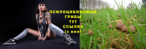 первитин Богородск
