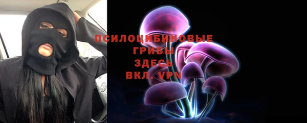 МДПВ Богданович