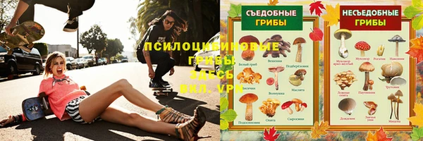 МДПВ Богданович
